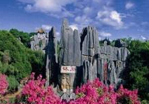 Stone forest