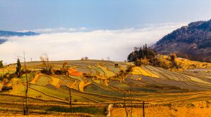 Yuanyang Hani Rice Terraces in Honghe, Yunnan